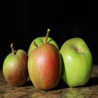 Dataset Image