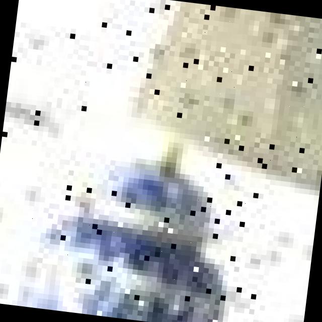 Dataset Image