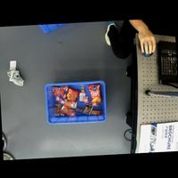 Dataset Image