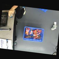 Dataset Image