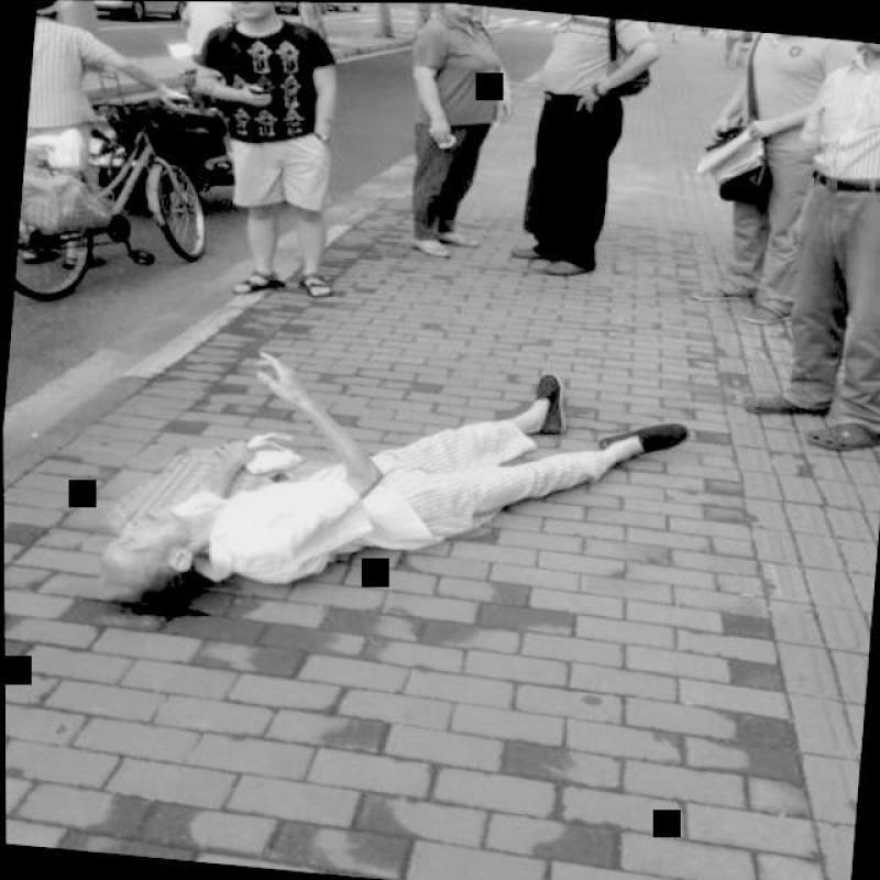 Dataset Image