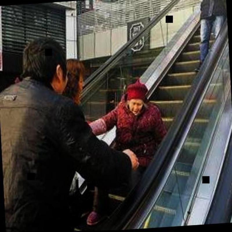 Dataset Image