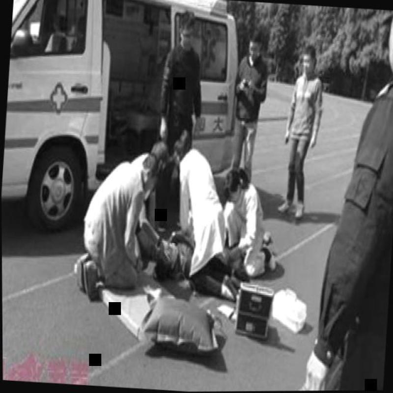 Dataset Image