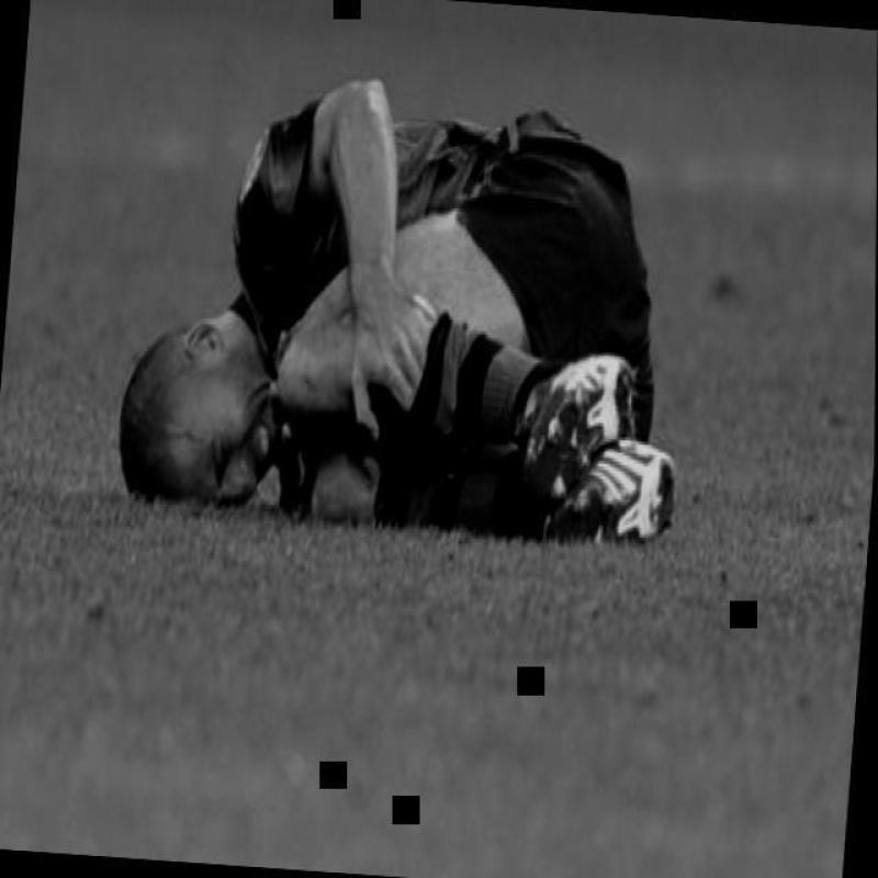 Dataset Image
