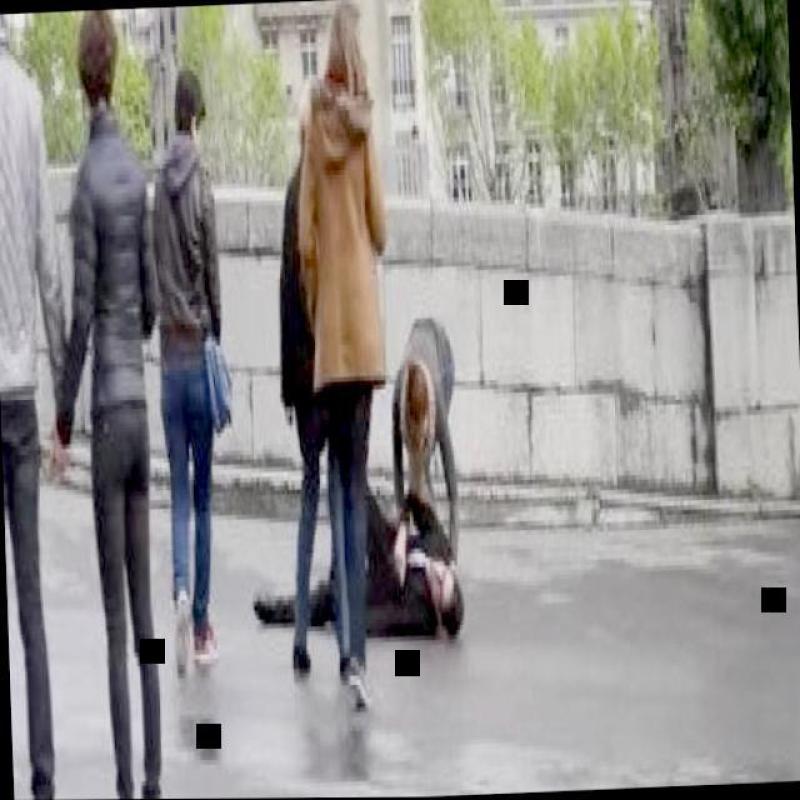 Dataset Image