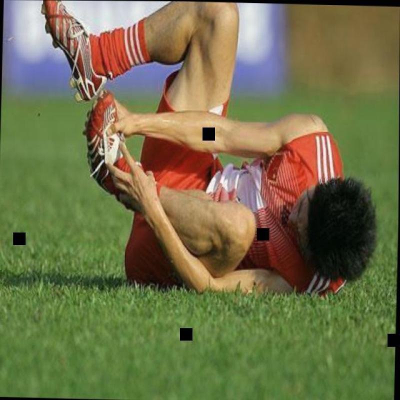 Dataset Image