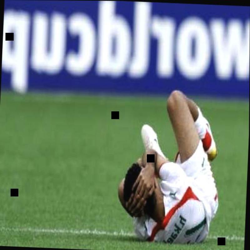 Dataset Image