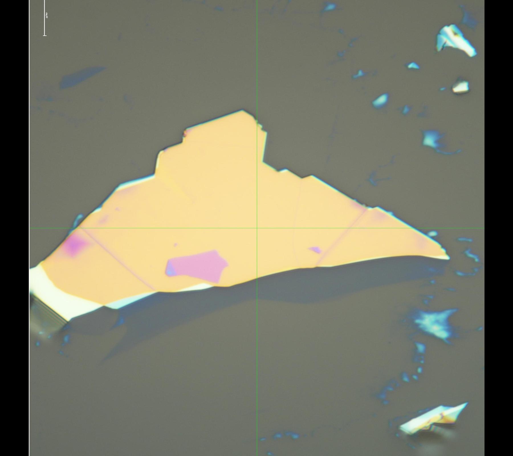 Dataset Image