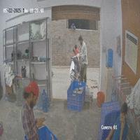 Dataset Image