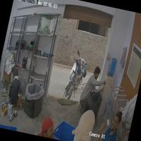 Dataset Image
