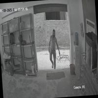 Dataset Image