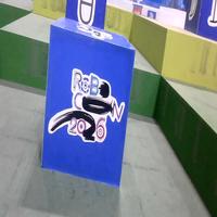 Dataset Image