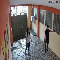 Dataset Image