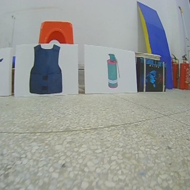 Dataset Image