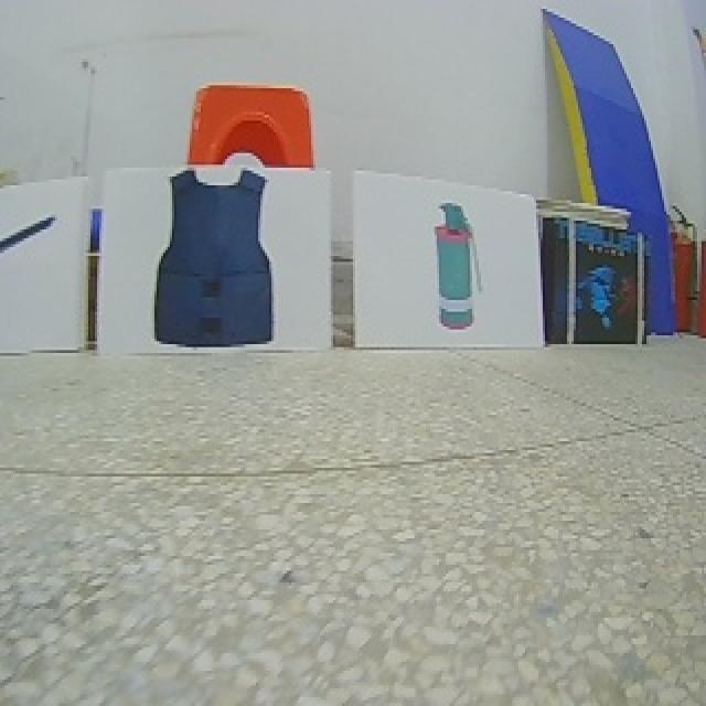 Dataset Image