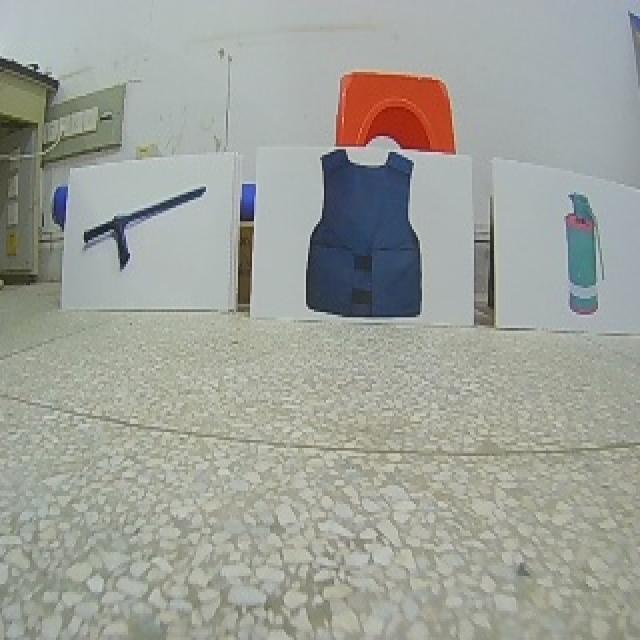 Dataset Image