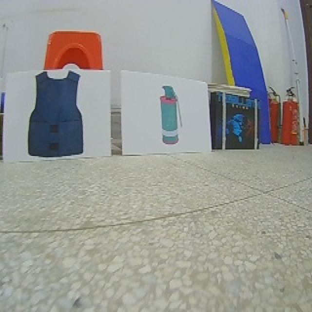 Dataset Image