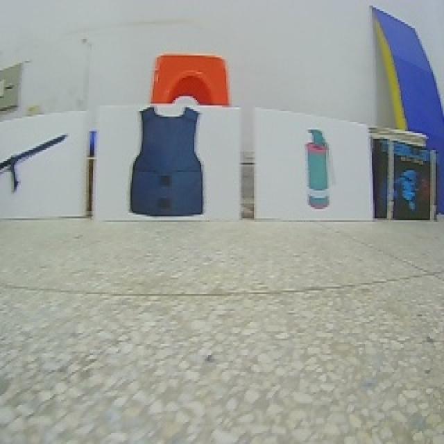 Dataset Image