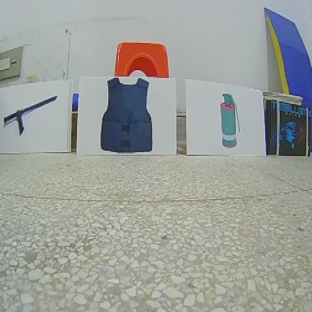Dataset Image
