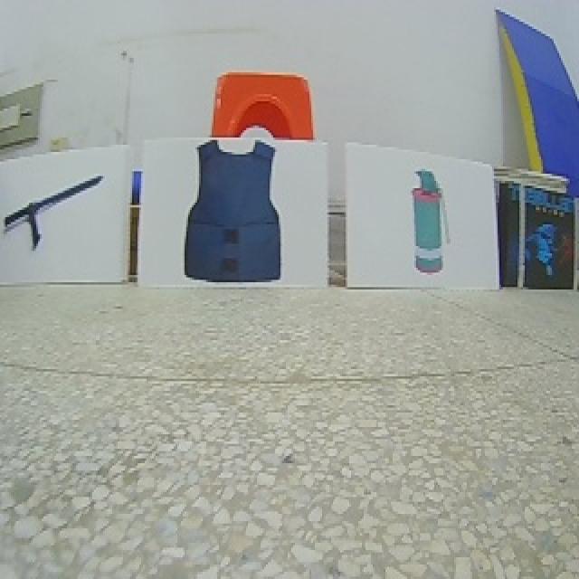 Dataset Image
