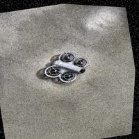 Dataset Image