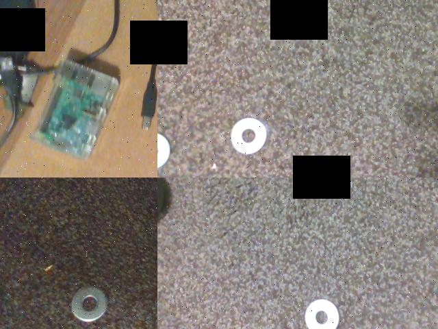 Dataset Image