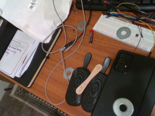 Dataset Image