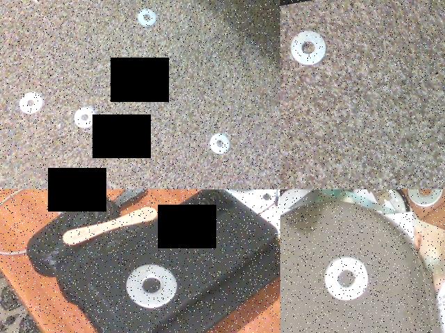 Dataset Image