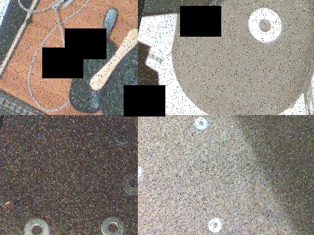 Dataset Image