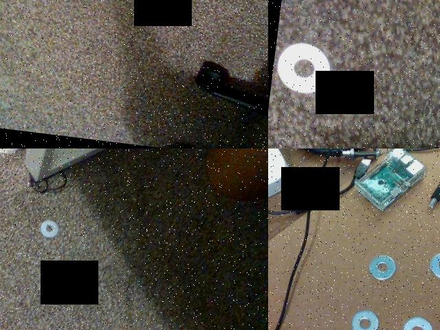 Dataset Image