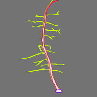 Annotation Visualization