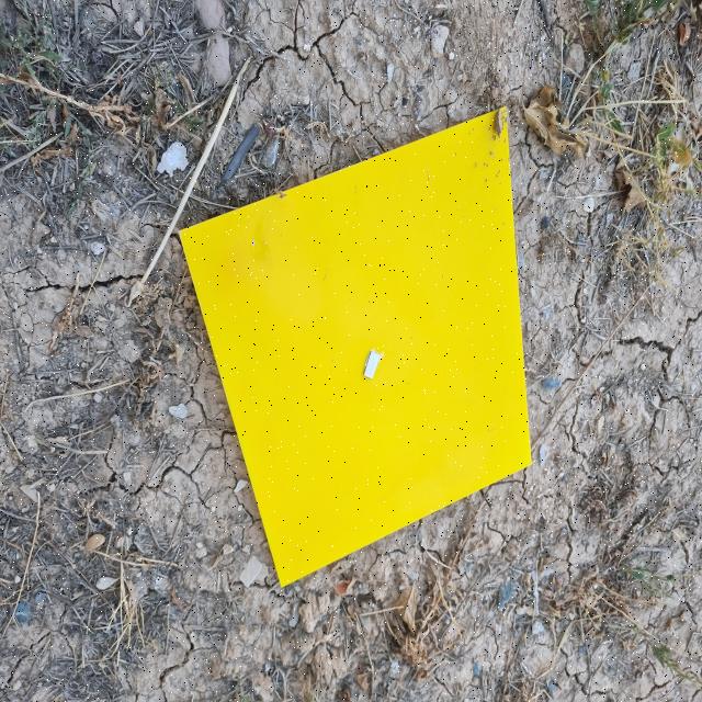 Dataset Image