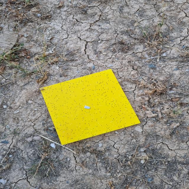 Dataset Image