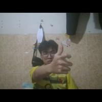 Dataset Image