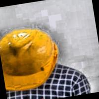 Dataset Image