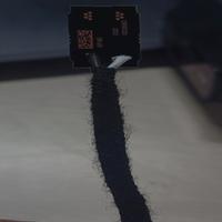 Dataset Image