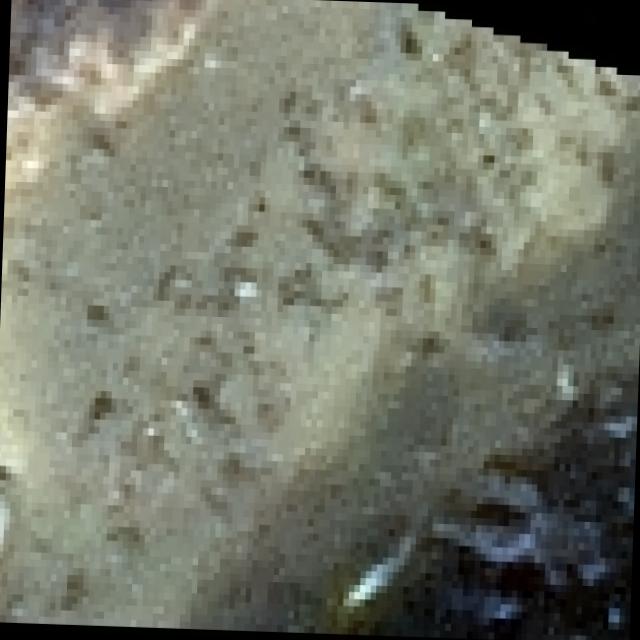 Dataset Image