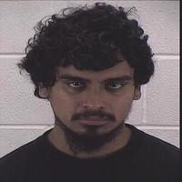 Dataset Image