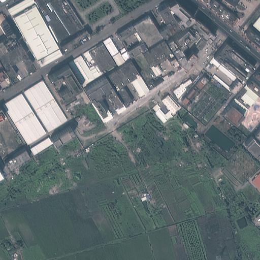 Dataset Image