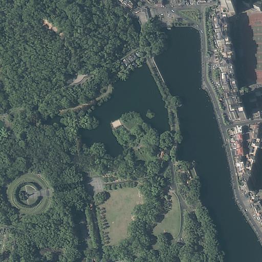 Dataset Image