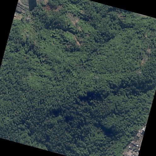 Dataset Image