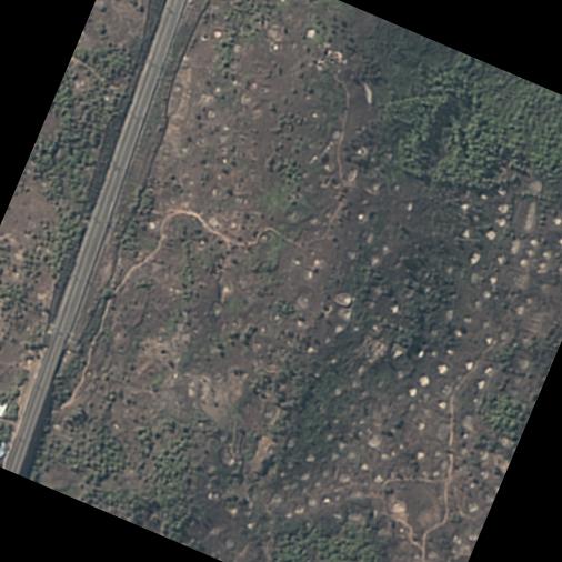 Dataset Image