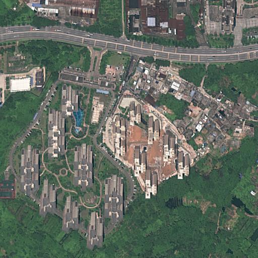 Dataset Image