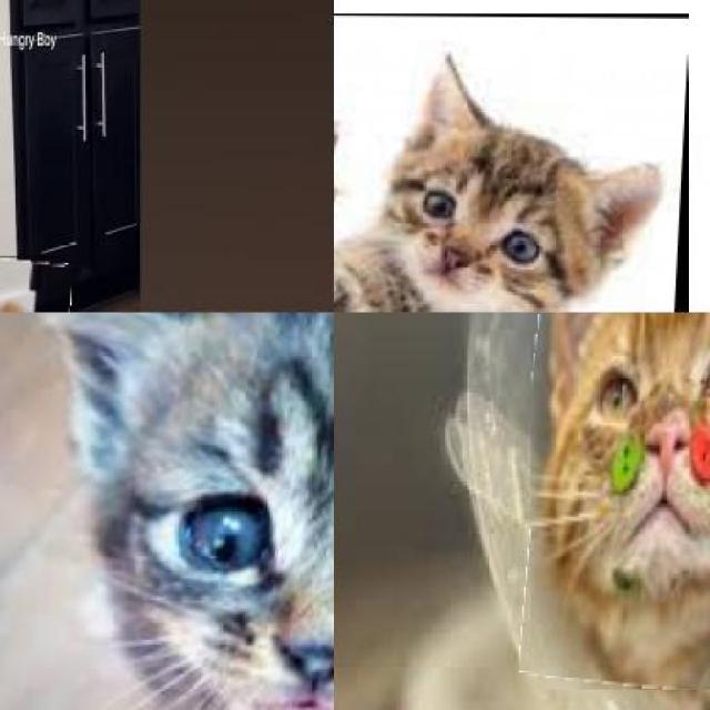Dataset Image