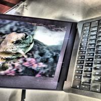 Dataset Image