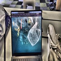 Dataset Image