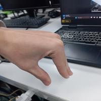 Dataset Image