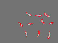 Annotation Visualization