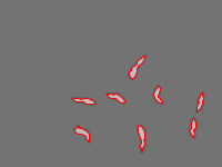 Annotation Visualization