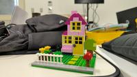 Dataset Image